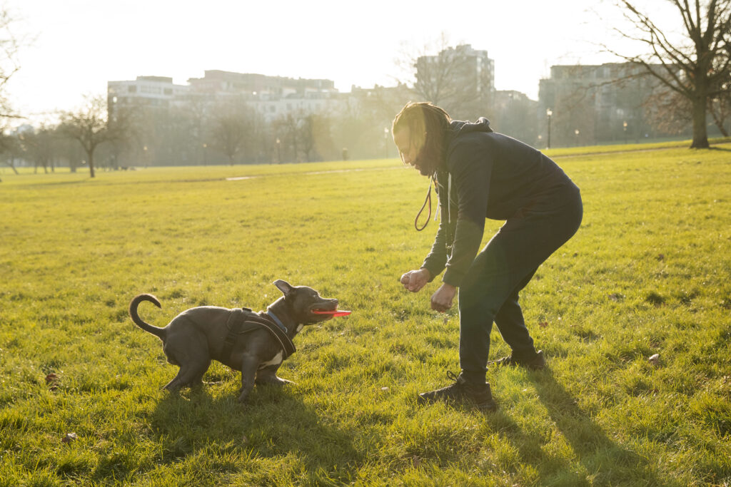 full shot man playing with dog outdoors