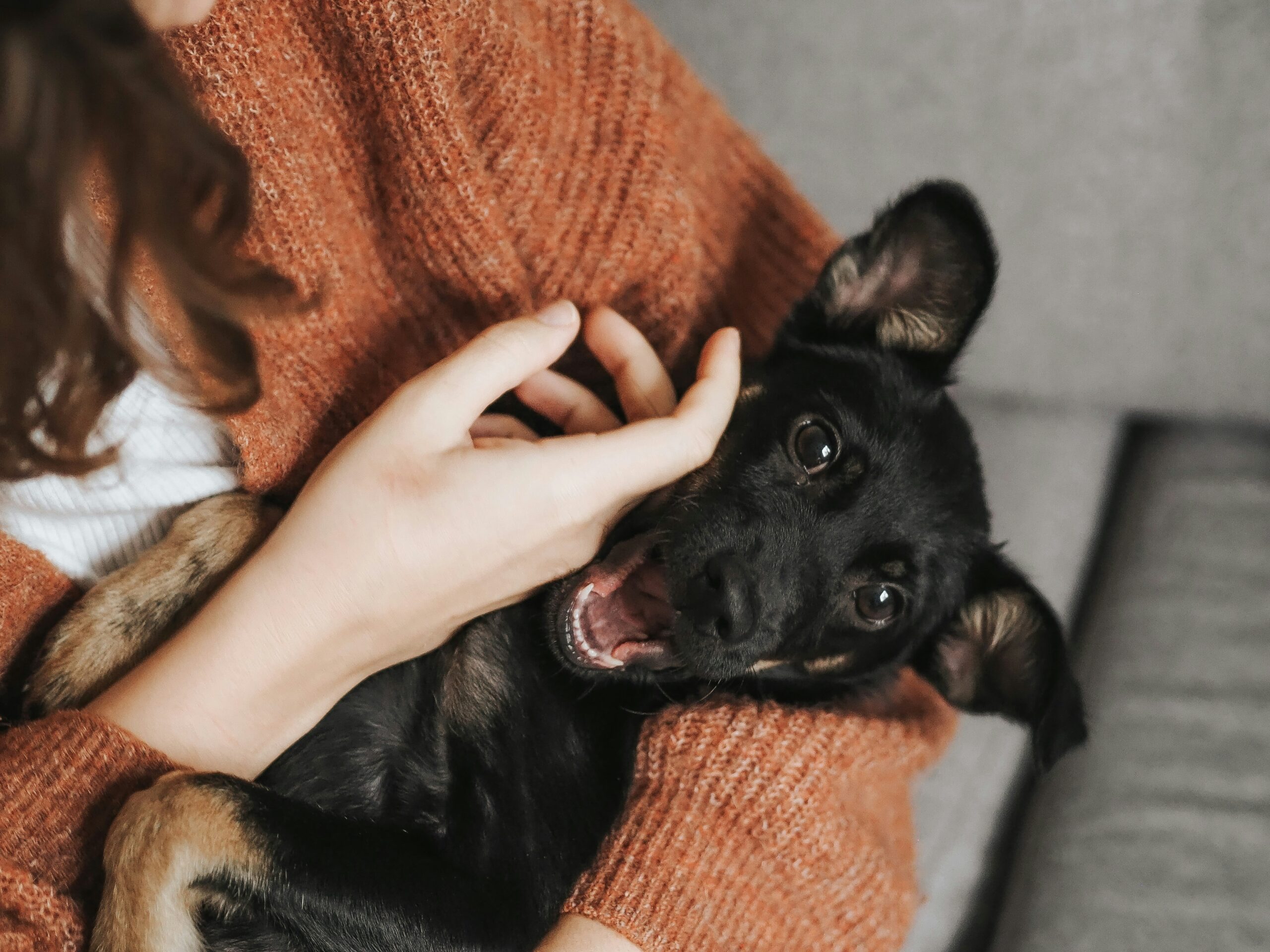 veronika jorjobert 27w3uliijfi unsplash