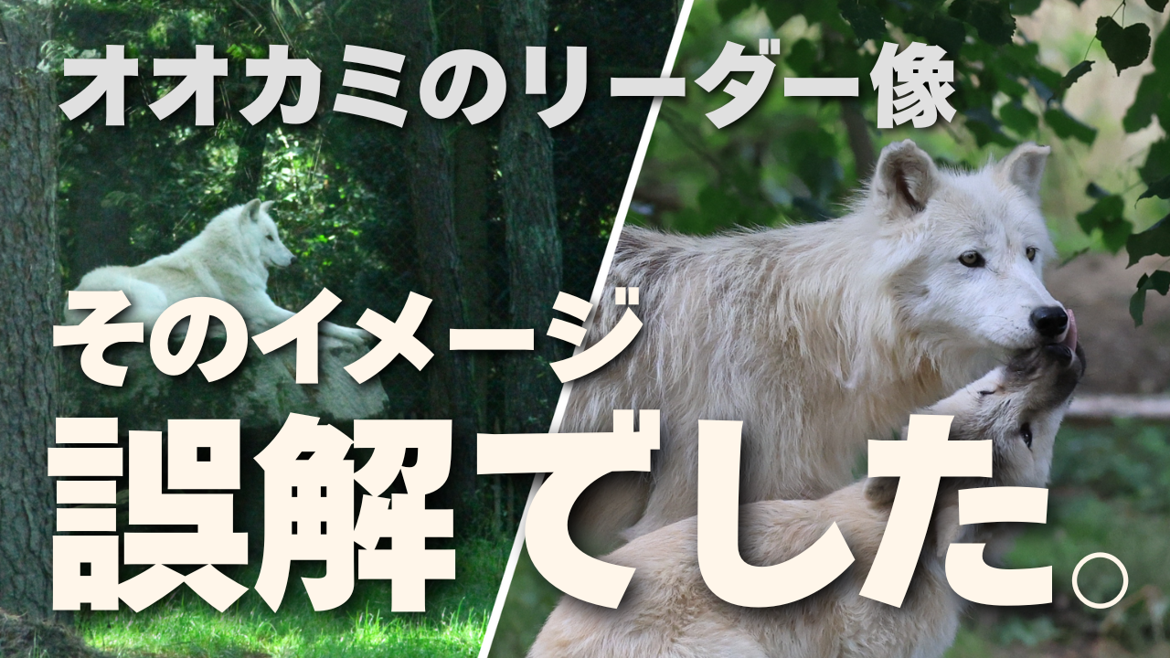 段落テキスト (2)