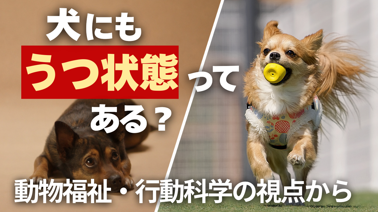 犬はなぜ吠える？ (6)