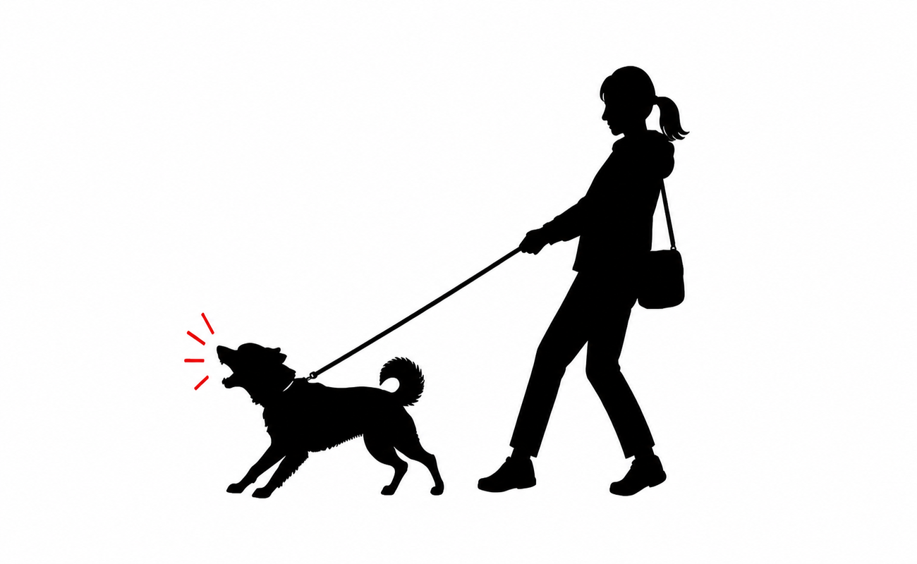 散歩中に他の犬へ吠える犬のトレーニング｜行動の理由から考える取り組み方